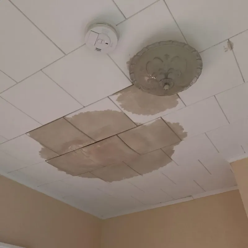 Ceiling Water Damage Repair in Machiasport, ME